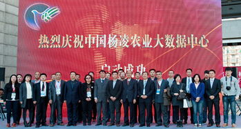 北京電子信息職業(yè)教育集團(tuán) 打造產(chǎn)教融合新生態(tài)，賦能教育信息服務(wù)升級(jí)